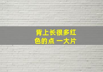 背上长很多红色的点 一大片